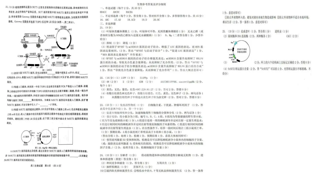 山东济南二模2024各科试卷及答案汇总（真题）