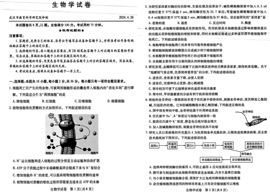 2024武汉四调各科试卷及答案解析（九科全）