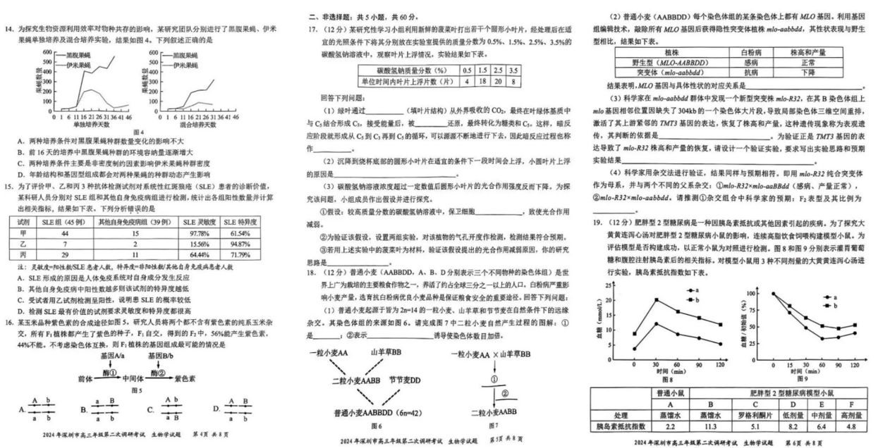 2024年深圳高三二模各科试卷及答案汇总（九科全）