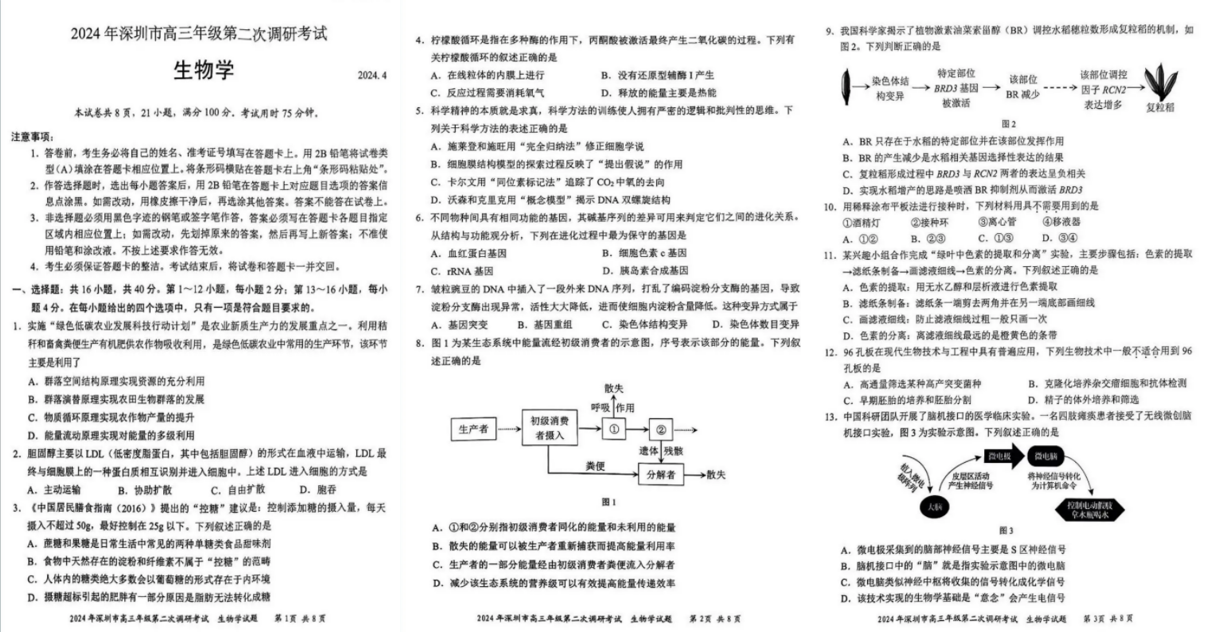 2024年深圳高三二模各科试卷及答案汇总（九科全）