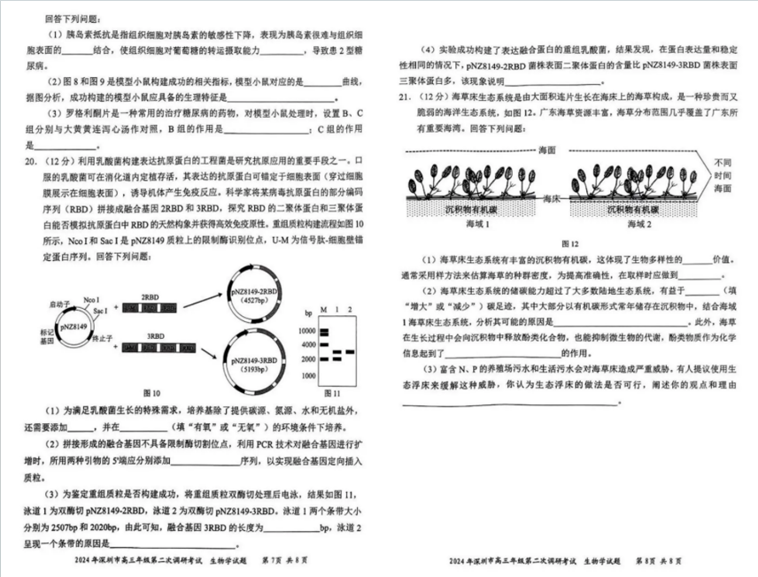 2024年深圳高三二模各科试卷及答案汇总（九科全）