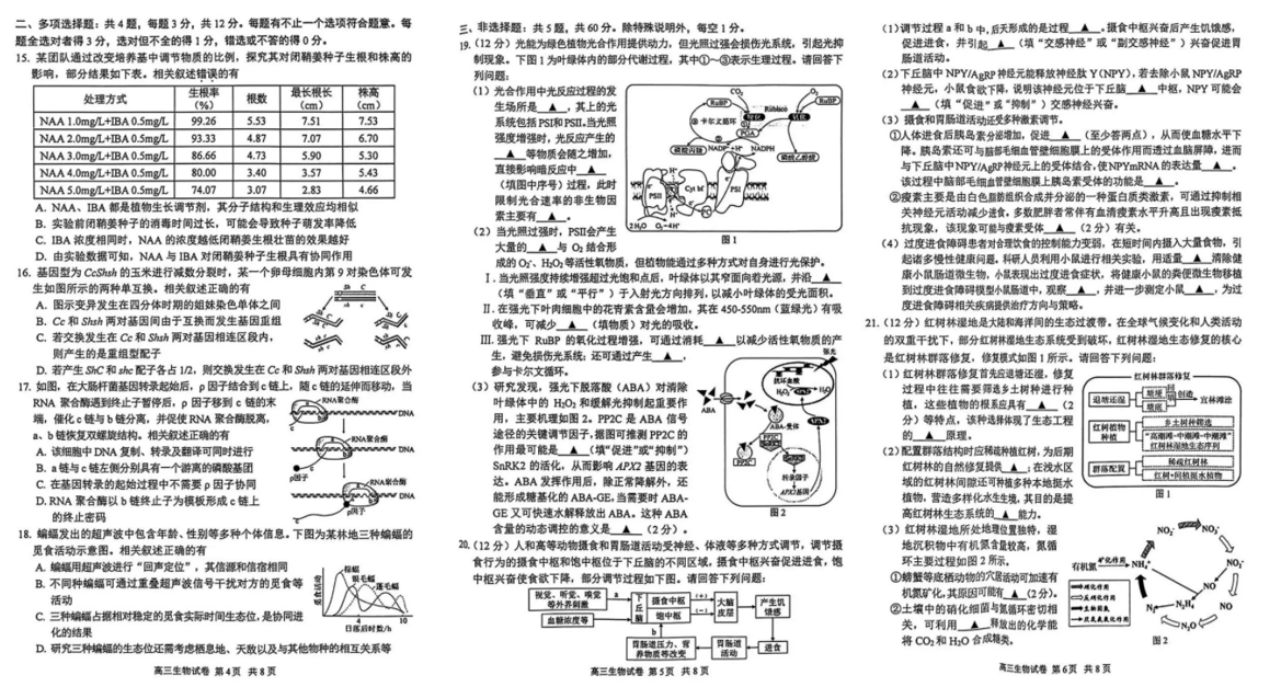 2024年苏锡常镇二模各科试卷及答案（附试卷真题解析）