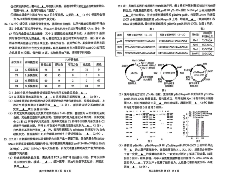 苏锡常镇2024二模各科试卷及答案汇总（附真题解析）