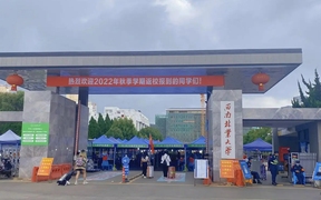 2024年西南林业大学在广东计划招生人数（附学费及专业录取分）