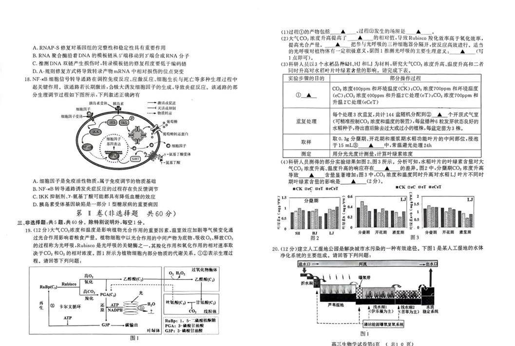 南京2024二模各科试卷及答案（附试卷真题解析）