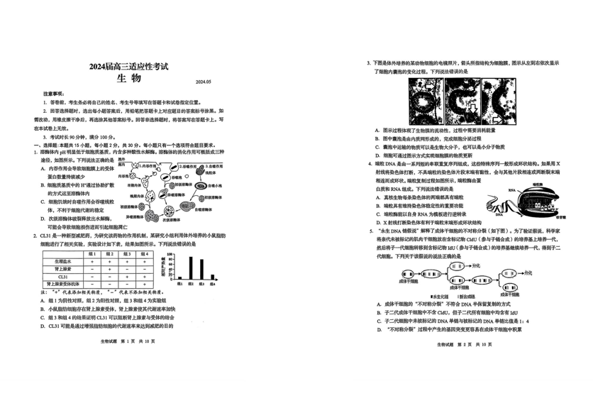 青岛2024年二模各科试卷及答案（附试卷真题解析）