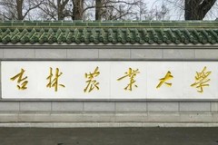 吉林农业大学(中外合作)近三年在安徽录取分数线(含2021-2023最低分)