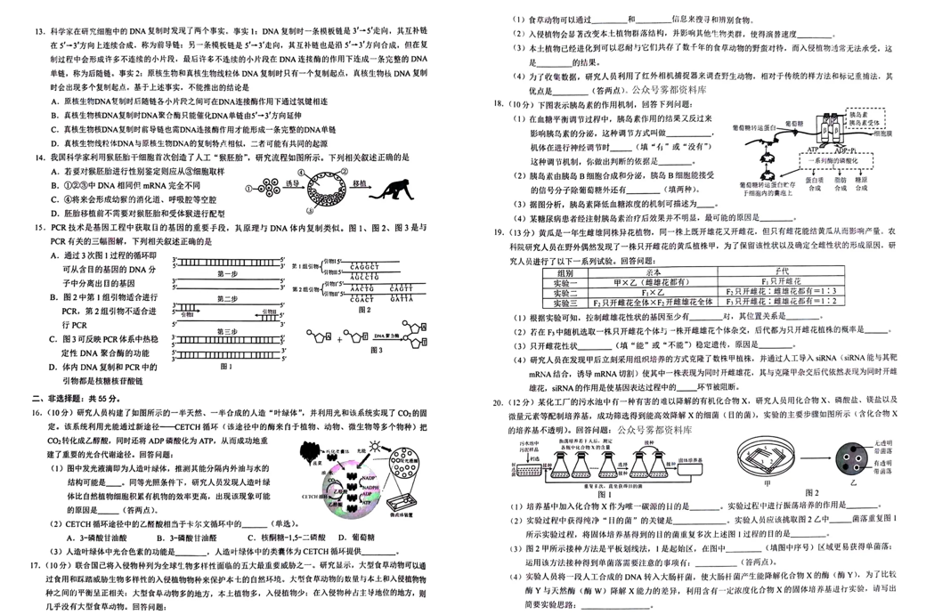 重庆2024三诊康德卷各科试卷及答案汇总（九科全）