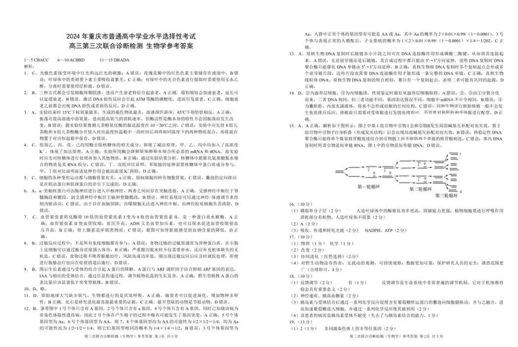 2024年重庆三诊康德卷各科试卷及答案（附试卷真题解析）