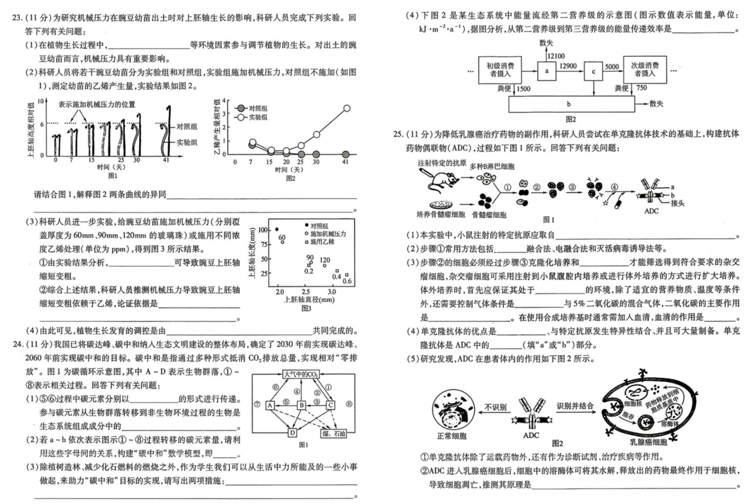 哈师大附中2024年高三第三次模考生物试题及答案