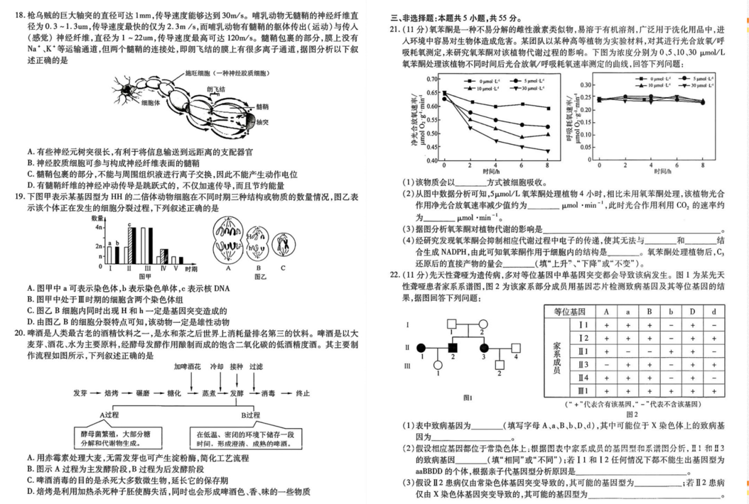 哈师大附中2024年高三第三次模考生物试题及答案