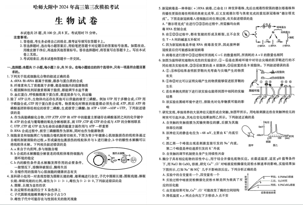 哈师大附中2024年高三第三次模考生物试题及答案