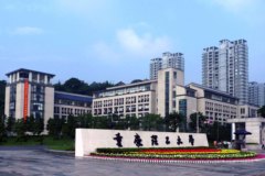 重庆理工大学2024年在河北录取分数线：最低524分（含各专业录取最低分）