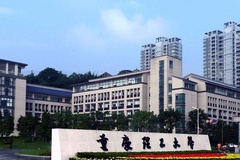2024年重庆理工大学全国录取分数线，附最低分和最低位次