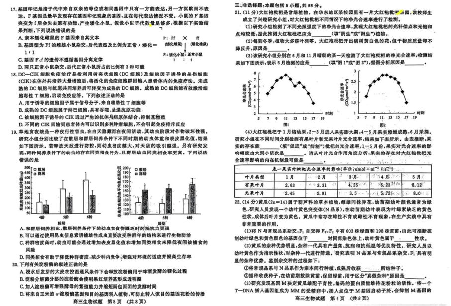 2024年济南高三三模高考针对性训练各科试卷及答案汇总（附真题解析）