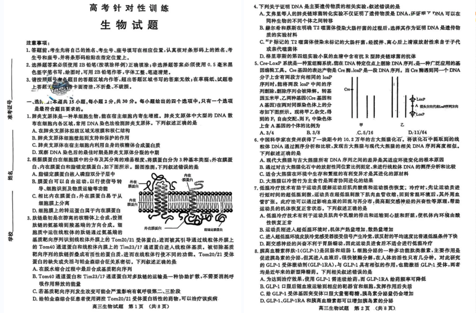 2024年济南高三三模高考针对性训练各科试卷及答案（附试卷真题解析）