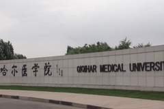 2024齐齐哈尔医学院录取分数线及位次一览：河南考生2025填报参考
