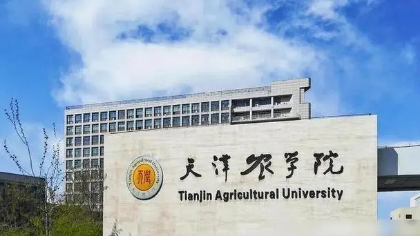 广东考生501分物理类能上什么大学？ 附2024年能上的院校名单