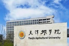 广东考生501分物理类能上什么大学？ 附2024年能上的院校名单