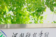 河南科技学院2023年各省各专业录取分数线（全国各省数据可查）