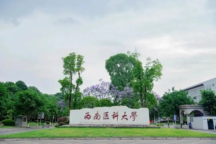 西南医科大学2023年各省录取分数线及位次一览（2024填报参考）