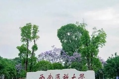 西南医科大学2023年各省录取分数线及位次一览（2024填报参考）
