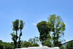 四川高考515分文科能上什么大学？附2024年可以报考的大学名单