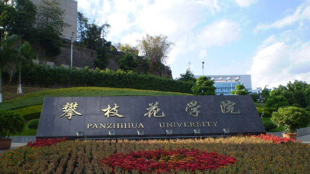 攀枝花学院2023年各省录取分数线及位次一览(2024填报参考)