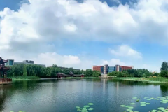 辽宁中医药大学杏林学院2023年各省录取分数线及位次一览（2024填报参考）