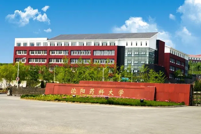 广东考生519分历史类能上什么大学？ 附2024年能上的院校名单