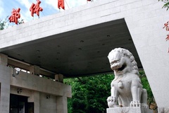 广东考生538分历史类能上什么大学？ 附2024年能上的院校名单