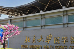 2024年北京大学医学部在广东计划招生人数（含各专业收费标准）