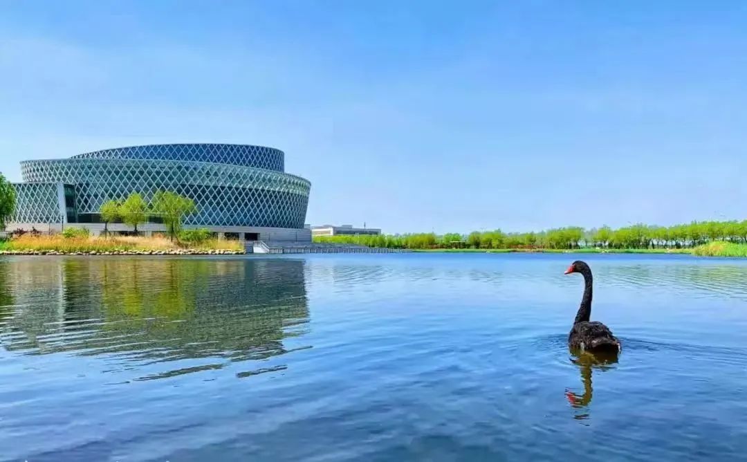 青海農牧學院分數線_青海大學獸醫專業分數_2024年青海畜牧獸醫職業技術學院錄取分數線及要求