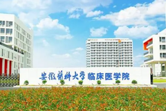 2024安徽医科大学临床医学院在广东招生计划及招生专业（含各专业收费标准）