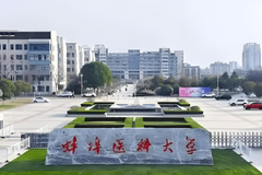 2024蚌埠医科大学排名-最新全国排名第320位