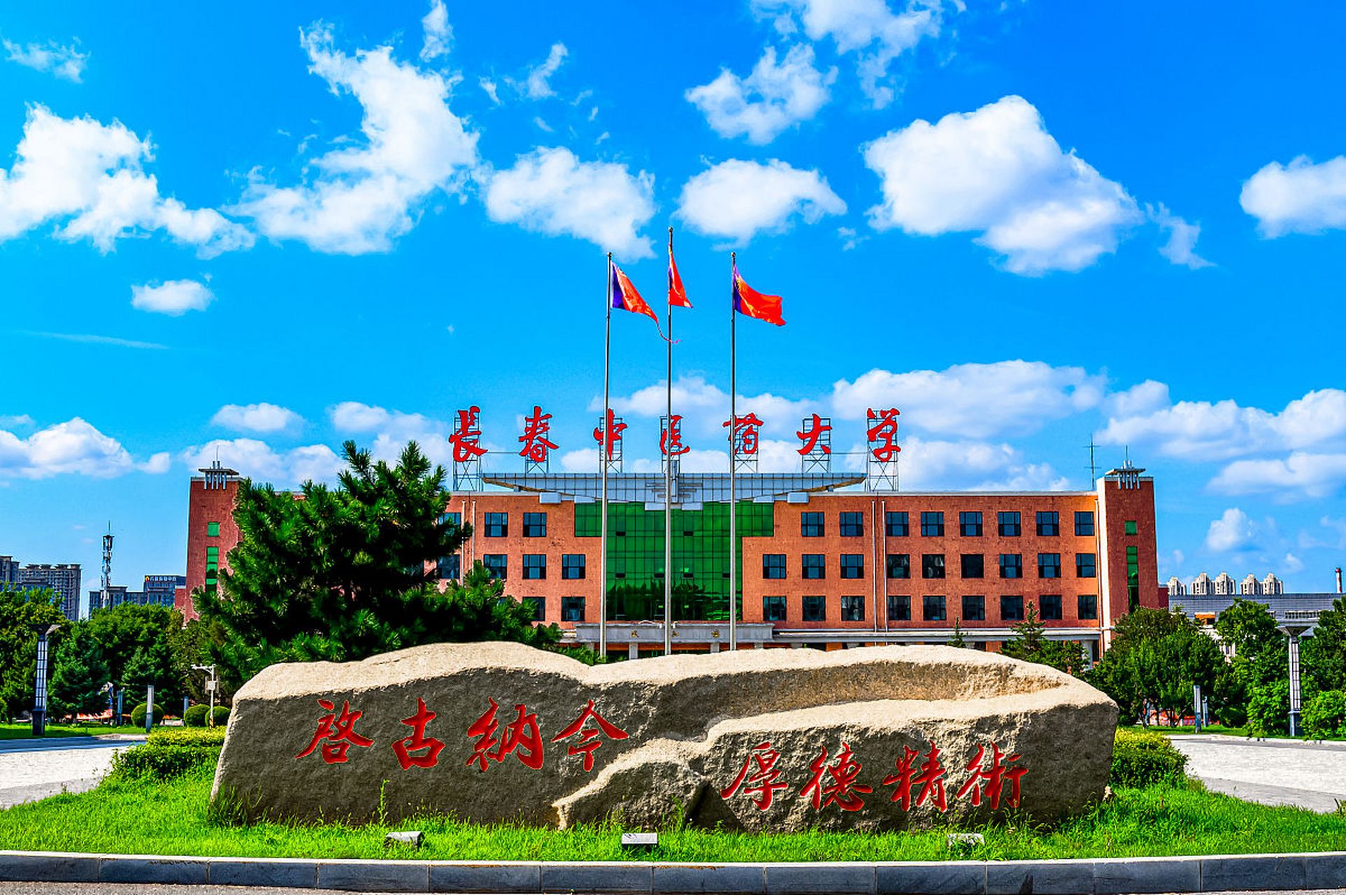 长春中医药大学(中外合作)近三年在安徽录取分数线(含2021-2023最低分)