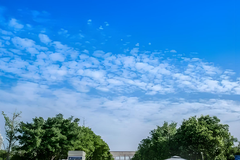 西北大学(中外合作)近三年在安徽录取分数线(含2021-2023最低分)