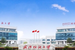 2024武汉纺织大学排名-最新全国排名第137位