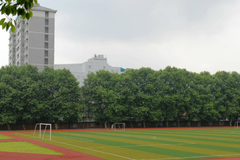 四川高考多少分可以读武汉工程大学邮电与信息工程学院？附2021-2023最低分及位次