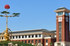 天津中医药大学近三年在四川录取分数线（含2021-2023最低分）