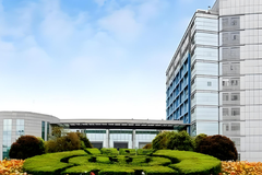 四川农业大学2024年各学科排名一览表！附教育部评级比例