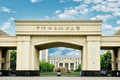 上海中侨职业技术大学近三年在安徽录取分数线(含2021-2023最低分)