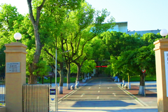 四川化工职业技术学院2024年在各省录取最低分及位次一览（2024年最新版）