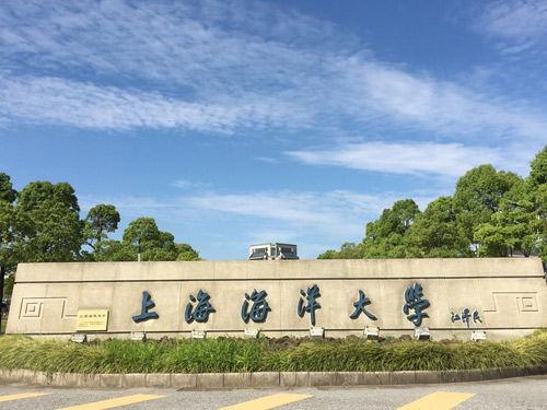 上海海洋大学近三年在四川录取分数线（含2021-2023最低分）