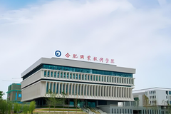 合肥职业技术学院中外合作近三年在安徽录取分数线(含2021-2023最低分)