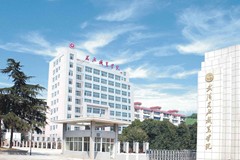 武汉民政职业学院(中外合作)近三年在安徽录取分数线(含2021-2023最低分)