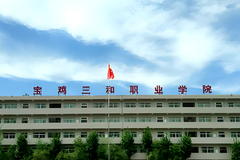 宝鸡三和职业学院近三年在安徽录取分数线(含2021-2023最低分)
