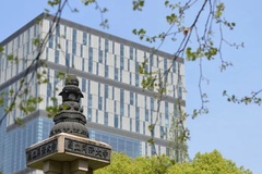 同济大学(中外合作)近三年在安徽录取分数线(含2021-2023最低分)