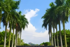 广州科技职业技术大学近三年在安徽录取分数线(含2021-2023最低分)