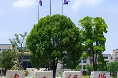 2024宁波工程学院录取分数线：最低345分（含各专业录取最低分）
